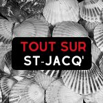 Cours "Secrets de Saint-Jacques" - 20 Décembre